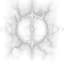 Avatar for ANTI-DOOMER