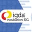 Avatar for IGDA Incubation SIG