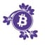 Avatar for SatoShe | Bitcoin Education for Women