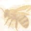 Avatar for Honeybee