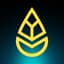 Avatar for YOYABA Events