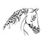 Avatar for Hajj on Horseback Calendar