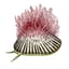Avatar for The Symbrosia Foundation