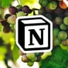 Avatar for Notion Reims