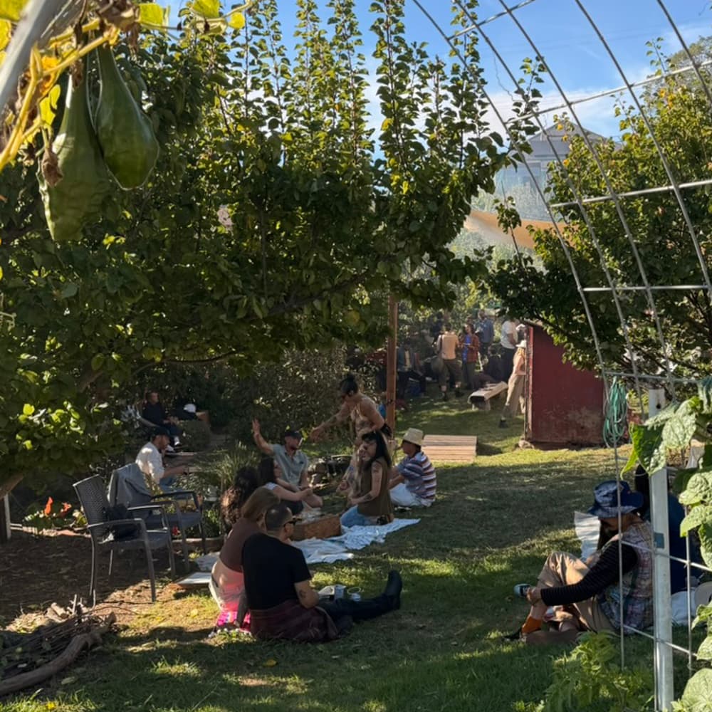 Fig Leaf Gardens x Local Economy: Party