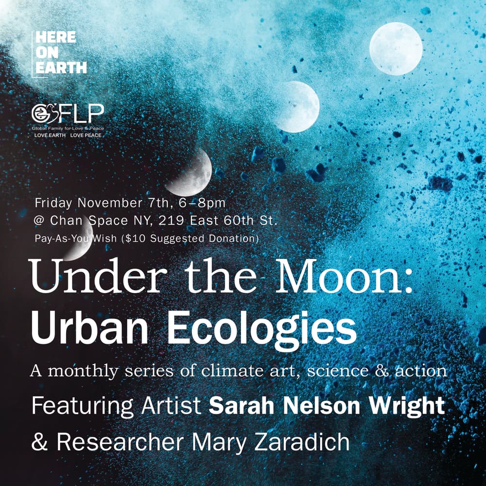 Under the Moon: Urban Ecologies