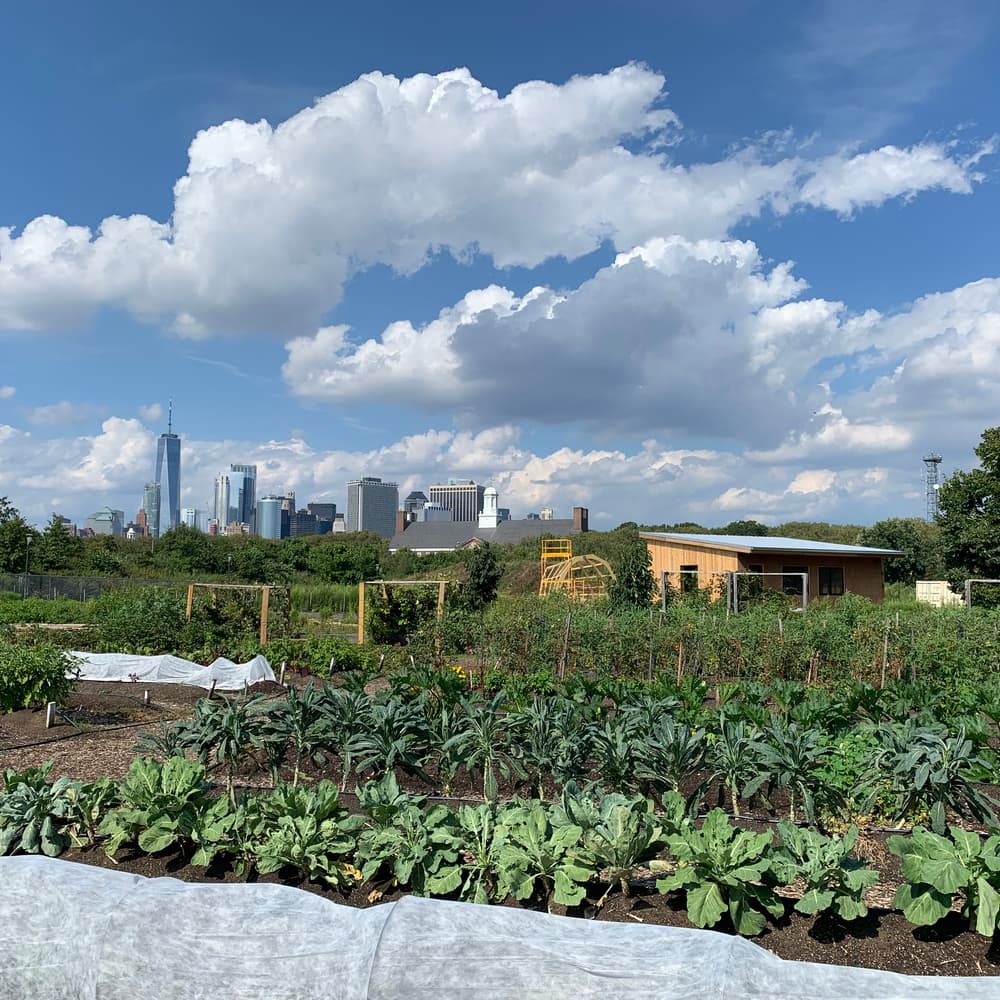 Cultivating Climate Resilience of Urban Agriculture in New York City