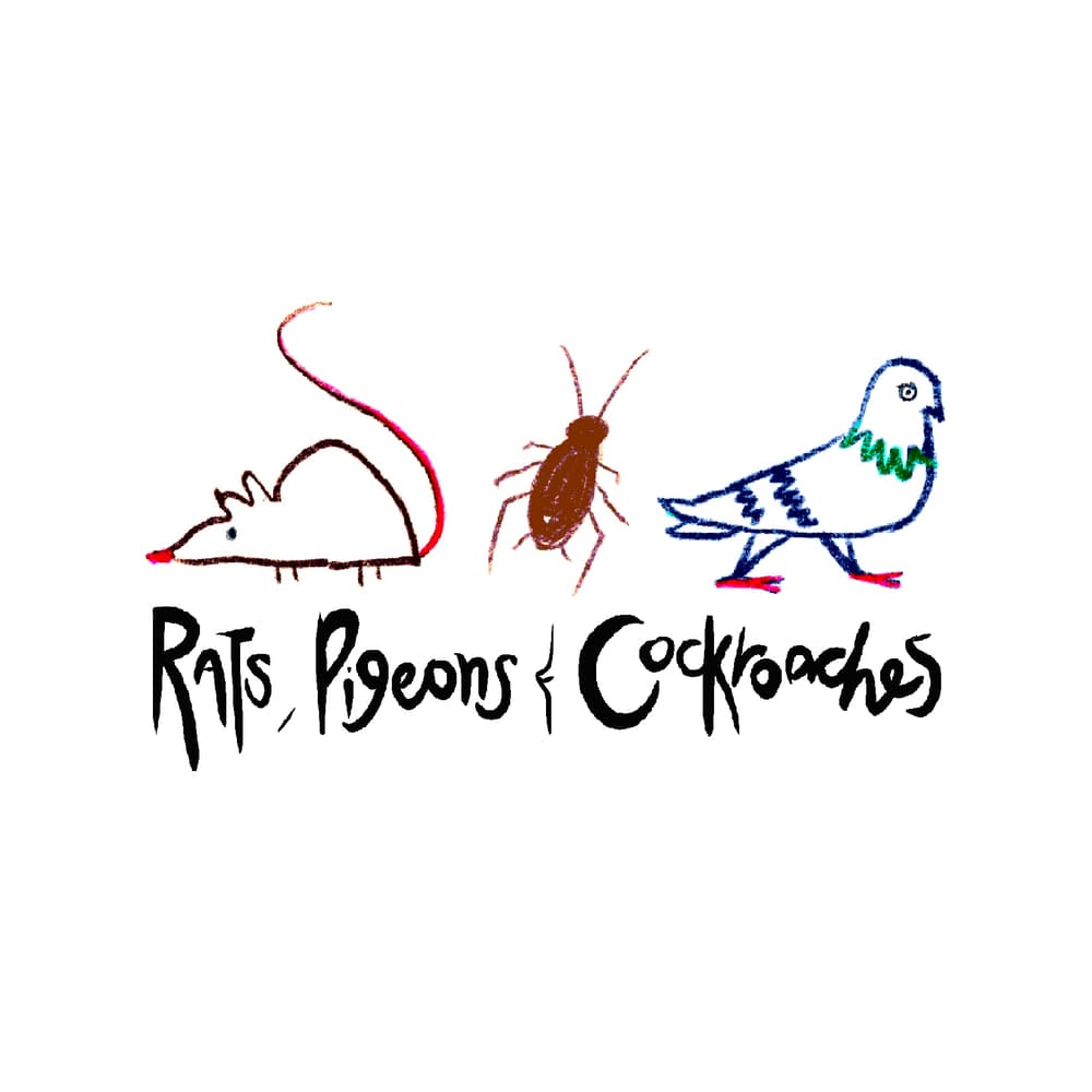 Rats, Pigeons, Cockroaches