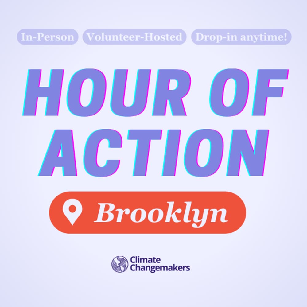 Brooklyn Hour of Action