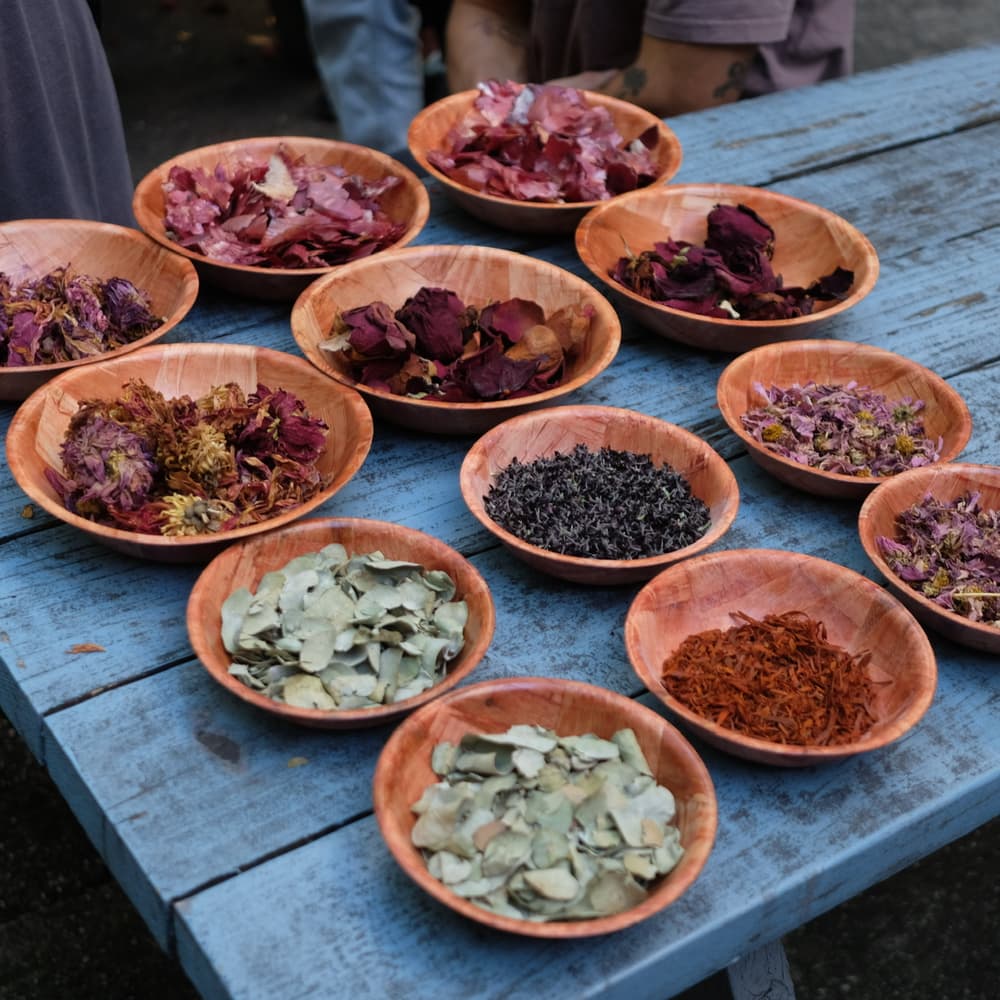 Botanical Dye Workshop with Wendy Qi!