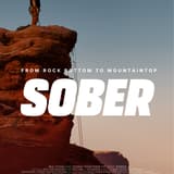 Cover Image for DC Screening of SOBER