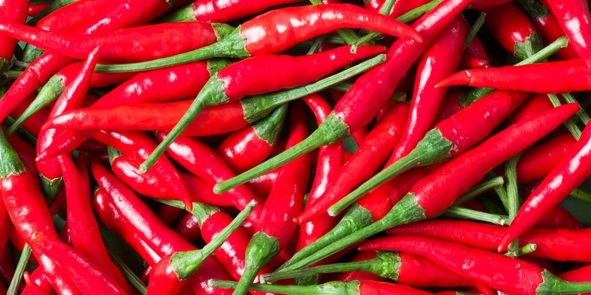 Cover Image for Spicy climate opinions over a spicy dinner
