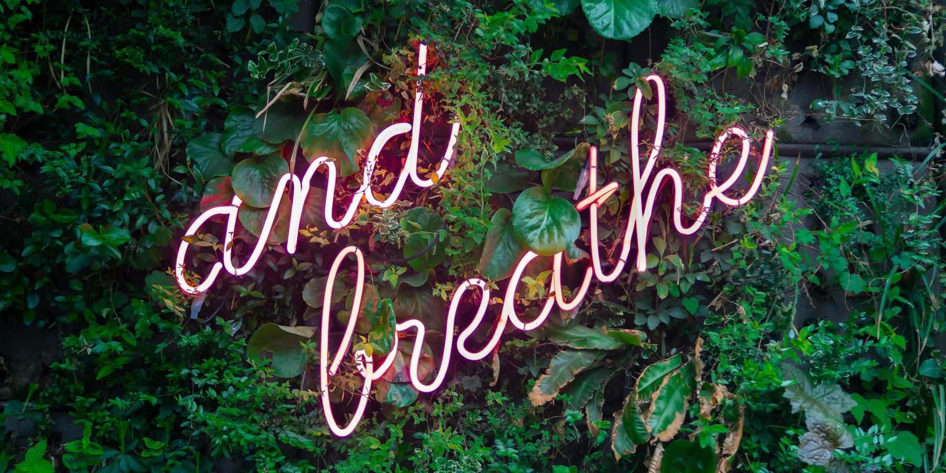 Cover Image for Psychedelic Breathwork for Beginners 🌬️✨