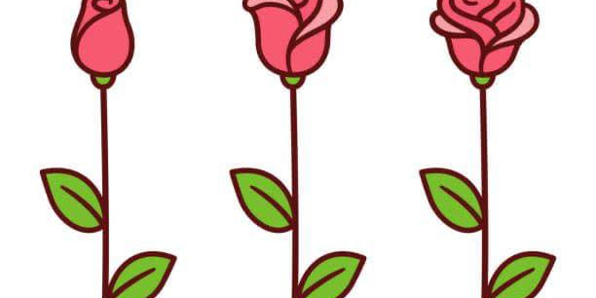 Cover Image for Operation Red Rose Bloom Drinks @ Party Conference 🍺🍹🍸