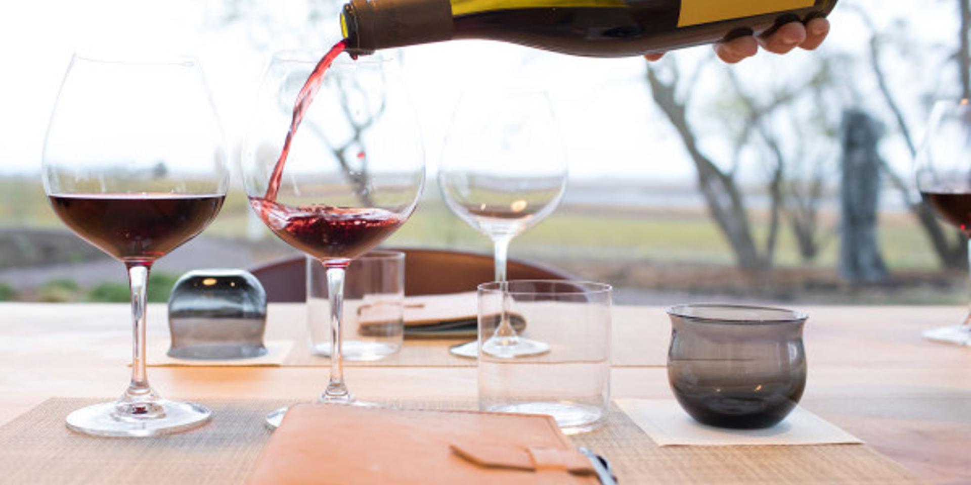 Cover Image for ✨ Share Wine Knowledge and How To Develop Your Palate ✨ [public]