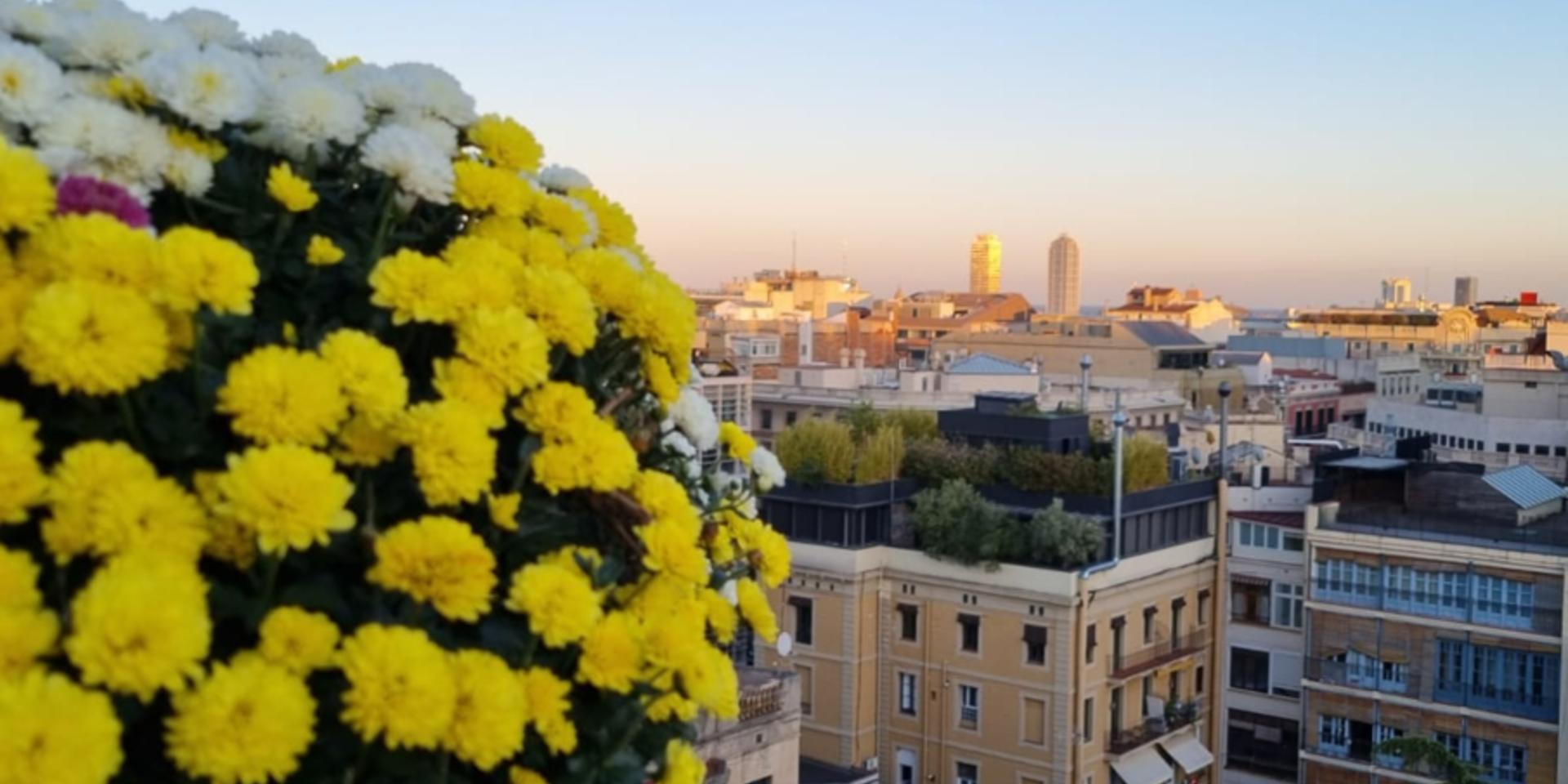 Cover Image for Happy Hour in Barcelona