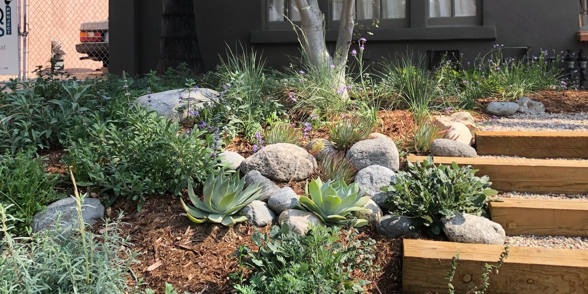 Cover Image for Create your own “Wild Yard” with Guest Speaker David Newsom! More info at https://lu.ma/plantnativelc202312