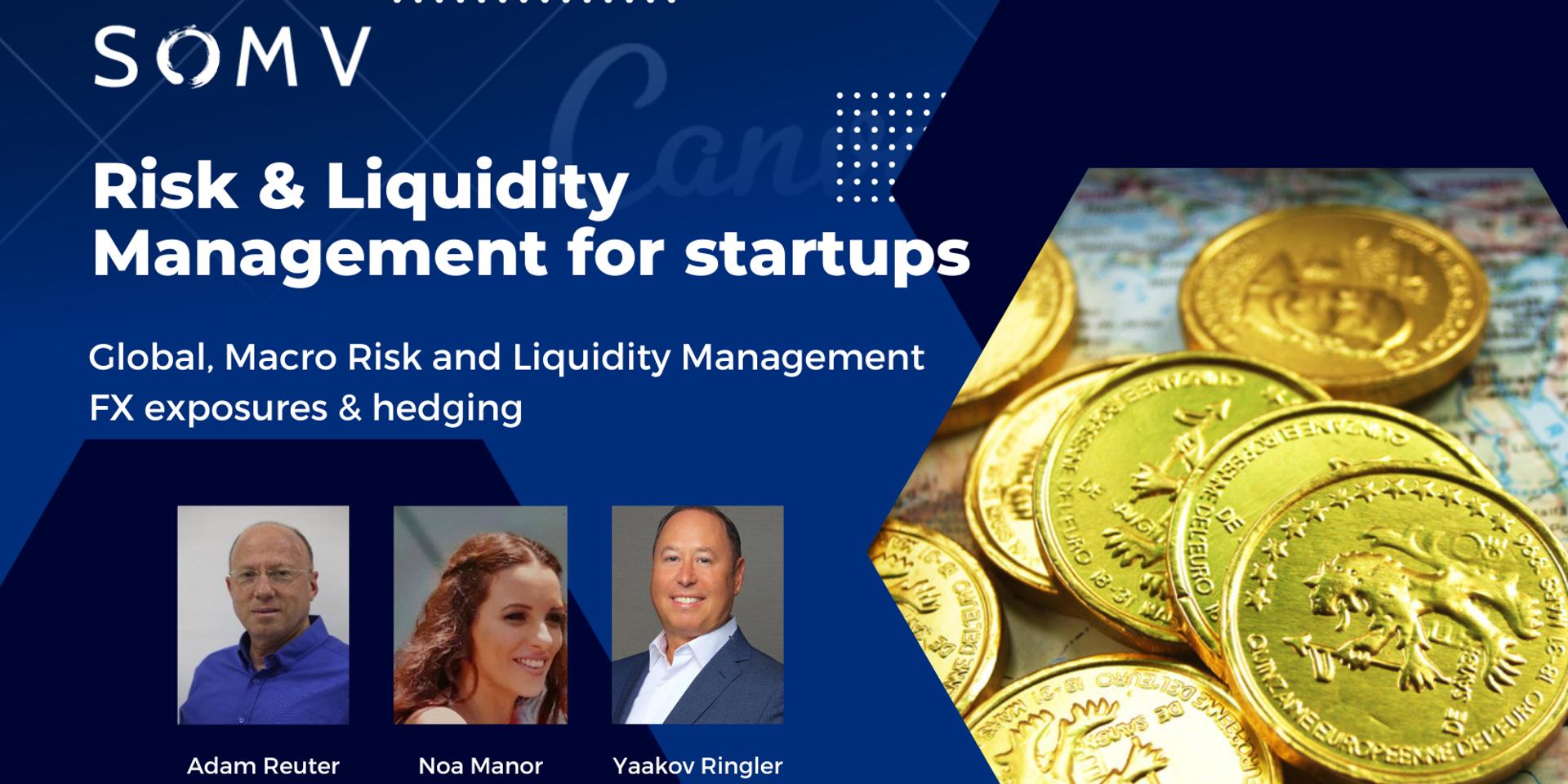 Cover Image for Risk & Liquidity Management for SOMV portfolio