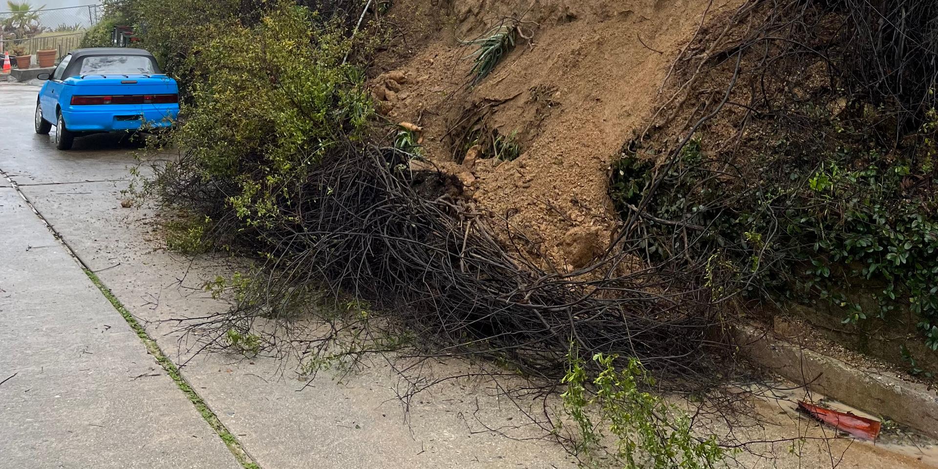 Cover Image for  Prevent Hillside Erosion! Plant Deep-Rooted California Natives — Presented by an Experienced Landscape Designer and Contractor