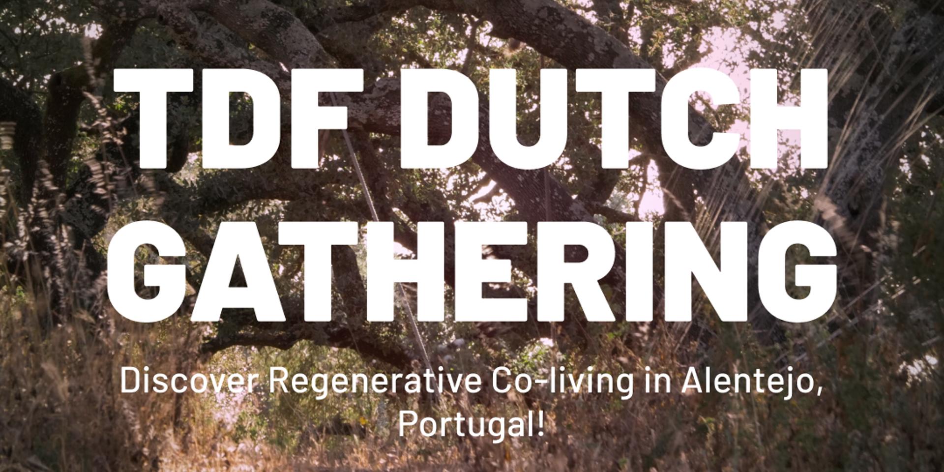 Cover Image for TDF Meet-up in The Netherlands