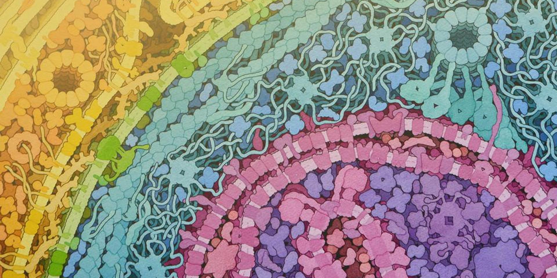 Cover Image for Medicine: The Body's Playtime Party!