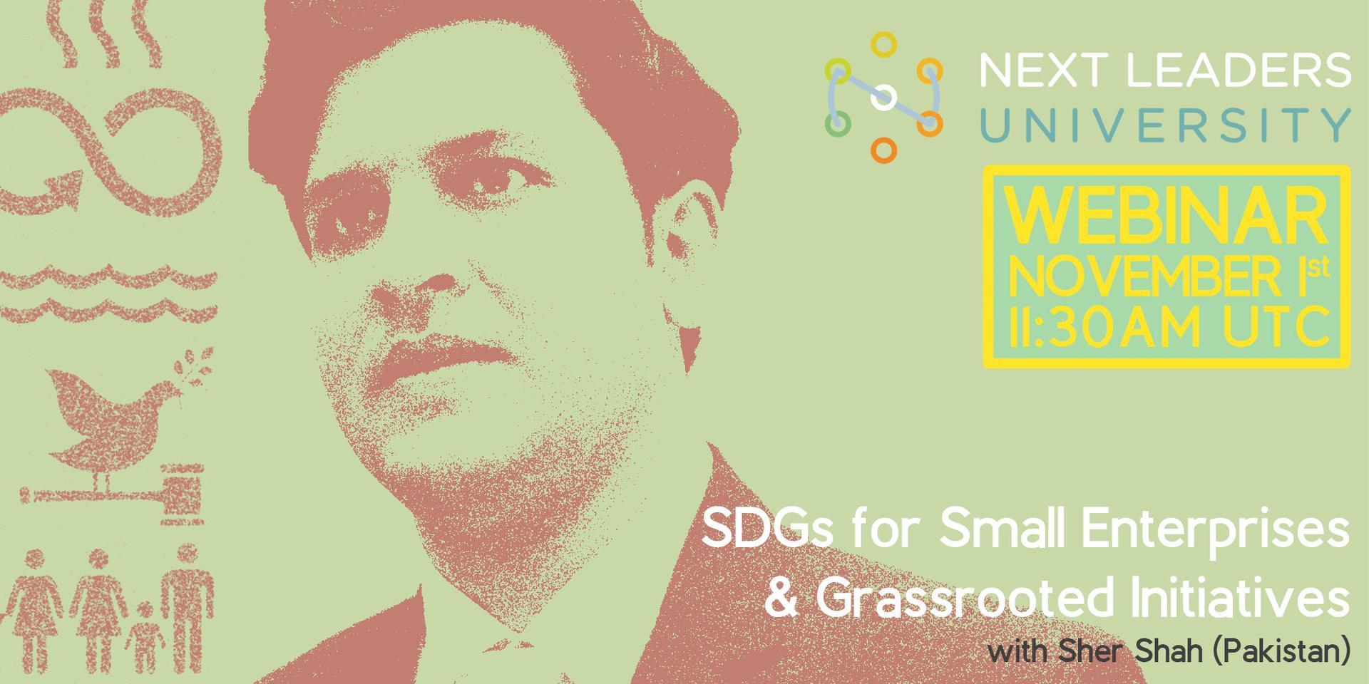 SDGs for Small Enterprises & Grassroots Initiatives · Zoom · Luma