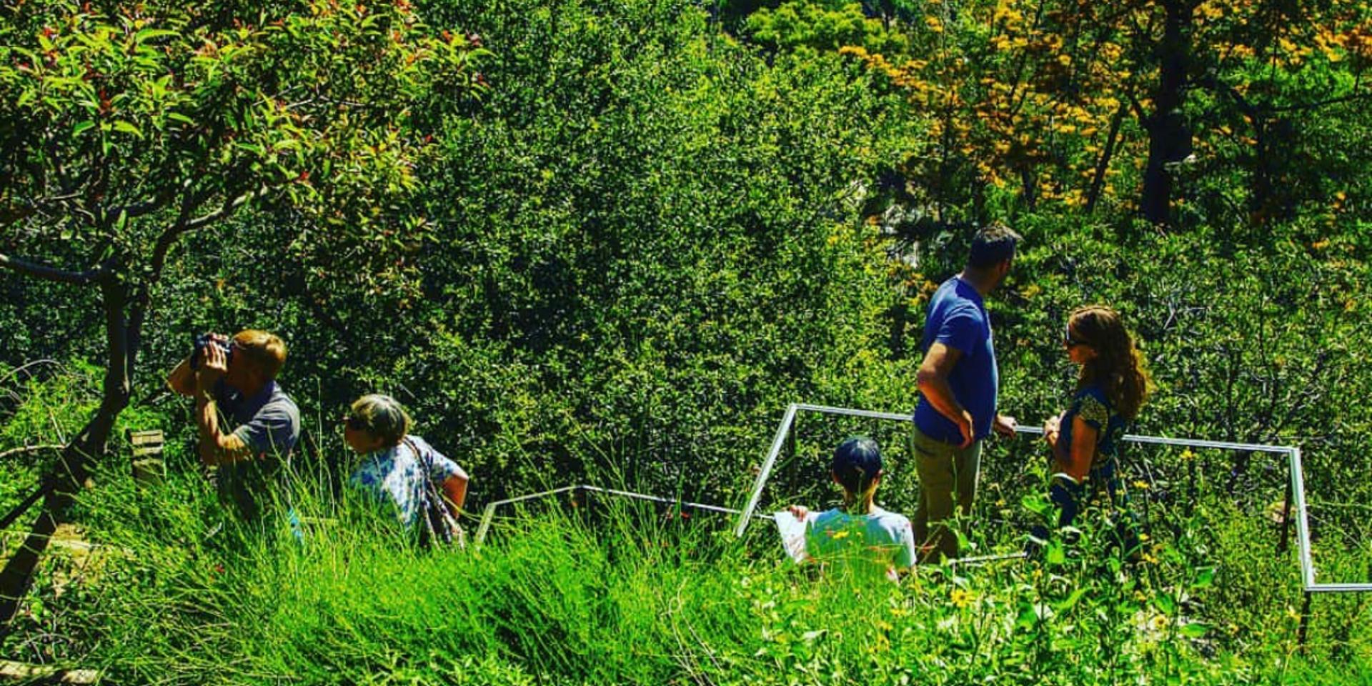 Cover Image for A Private Tour of Gottlieb Native Garden in Coldwater Canyon for Our PNLC Group - more info at: www.lu.ma/plantnativelc202307