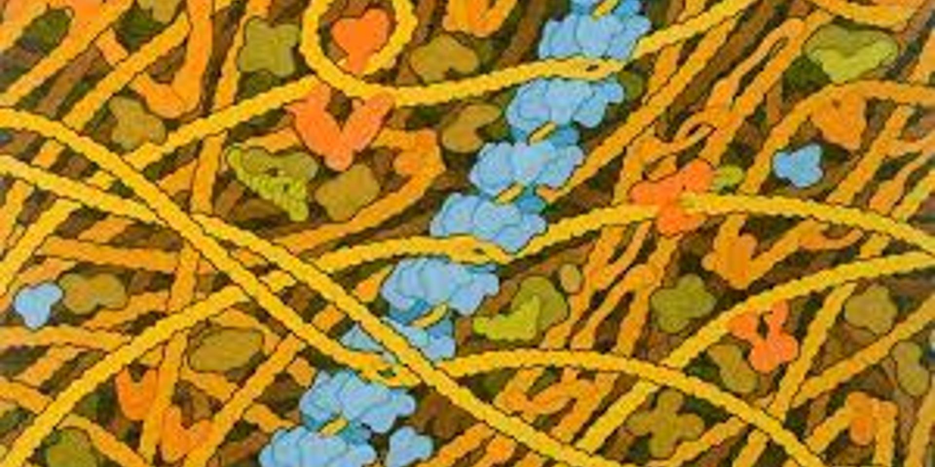 Cover Image for BioML Seminar 4 — Foundation models for the molecules of life with Simon Kohl