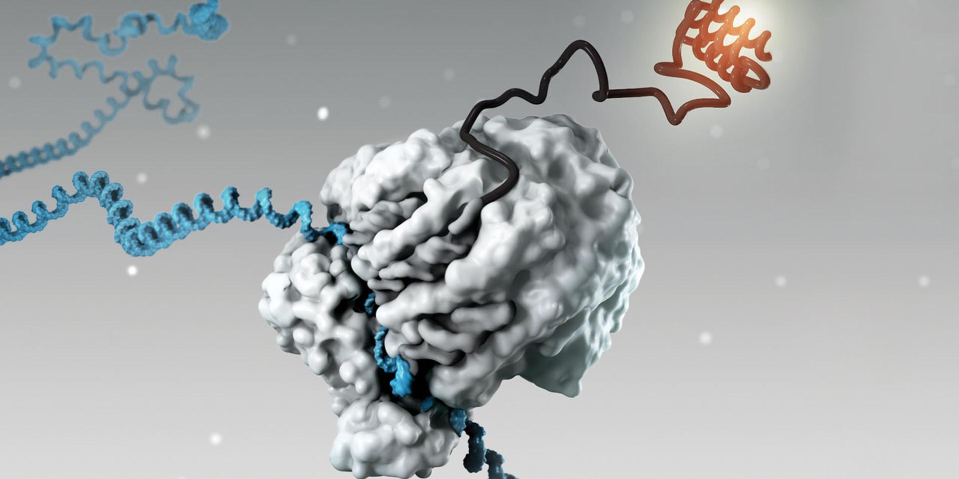 Cover Image for Funding the Frontier: Making Ideas a Reality in Biotech with Stefan Leape
