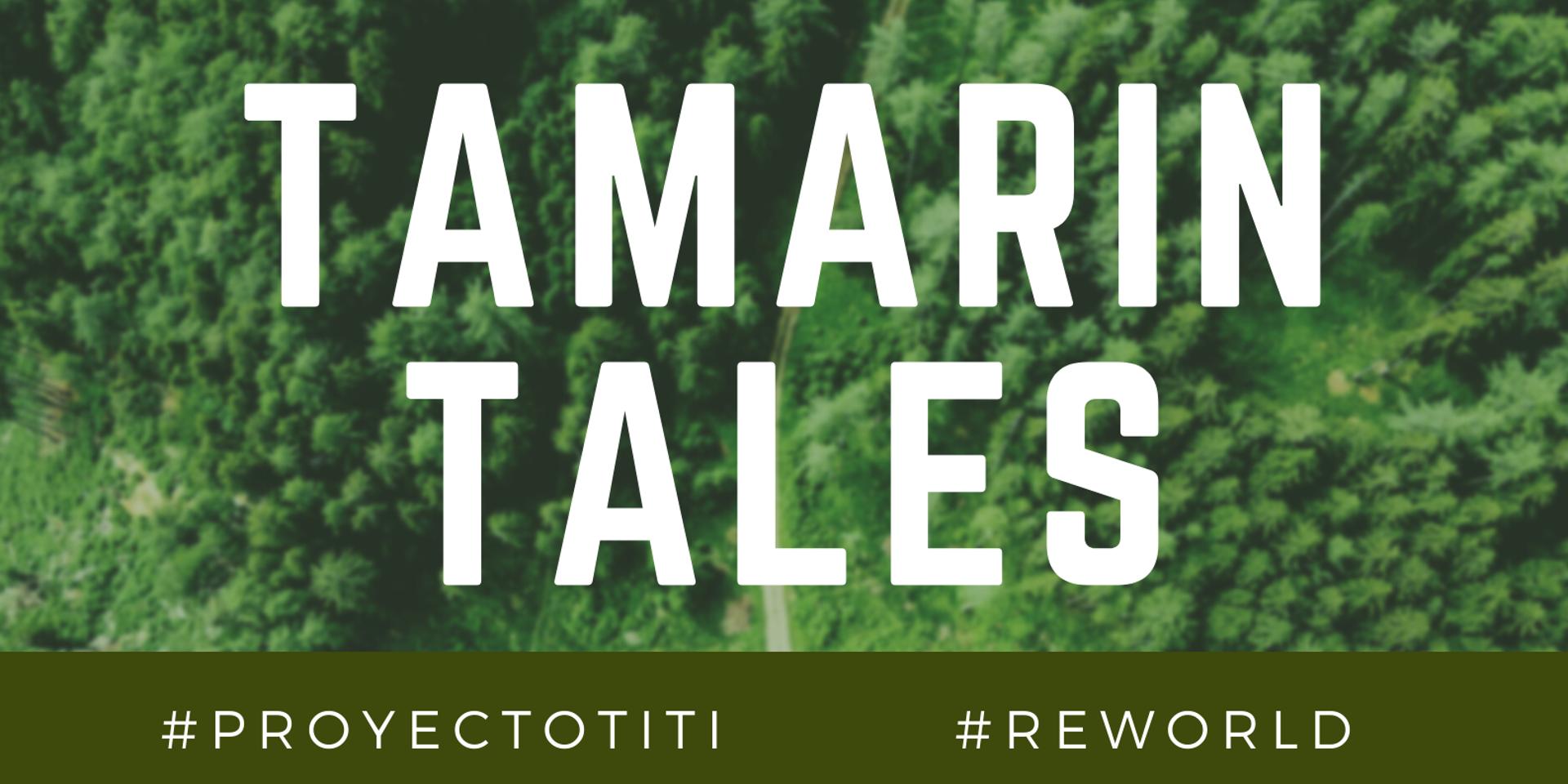 Cover Image for Tamarin Tales: A ReWorld Gathering With Rosamira Guillen 