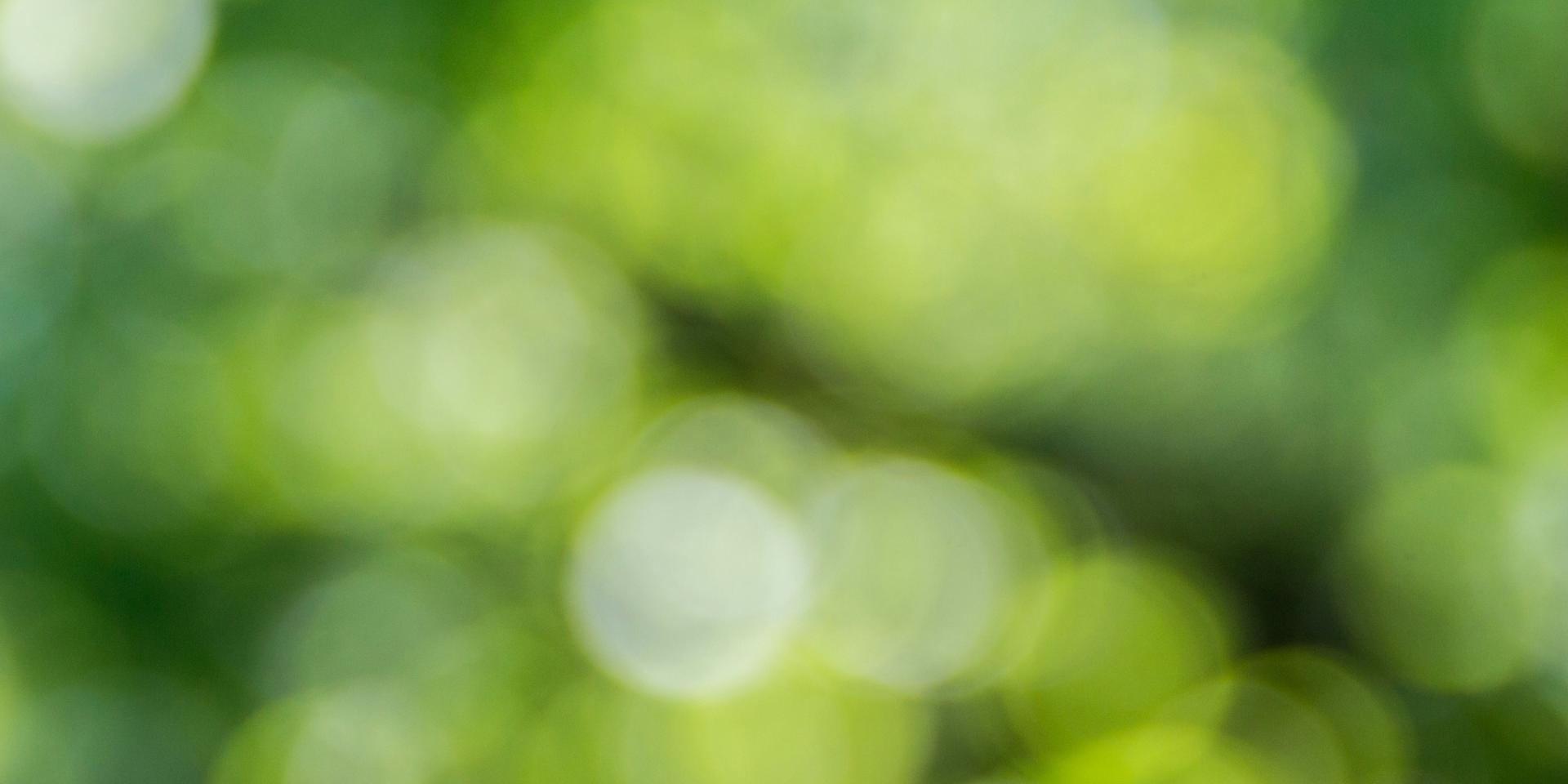 Cover Image for eSeed Berlin -Meetup Drinks 