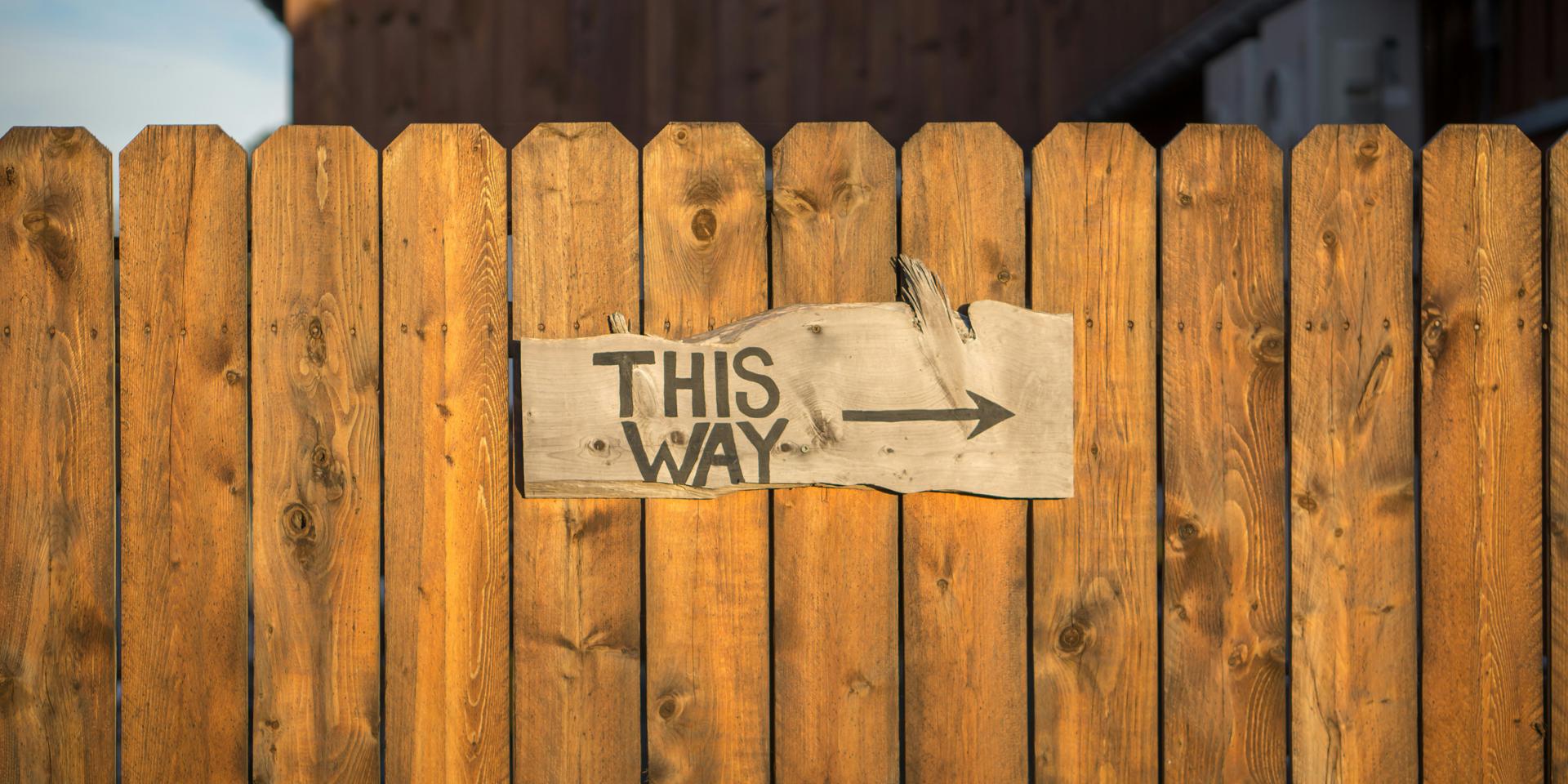 Cover Image for Values and the Work of Netcentric Campaigns 