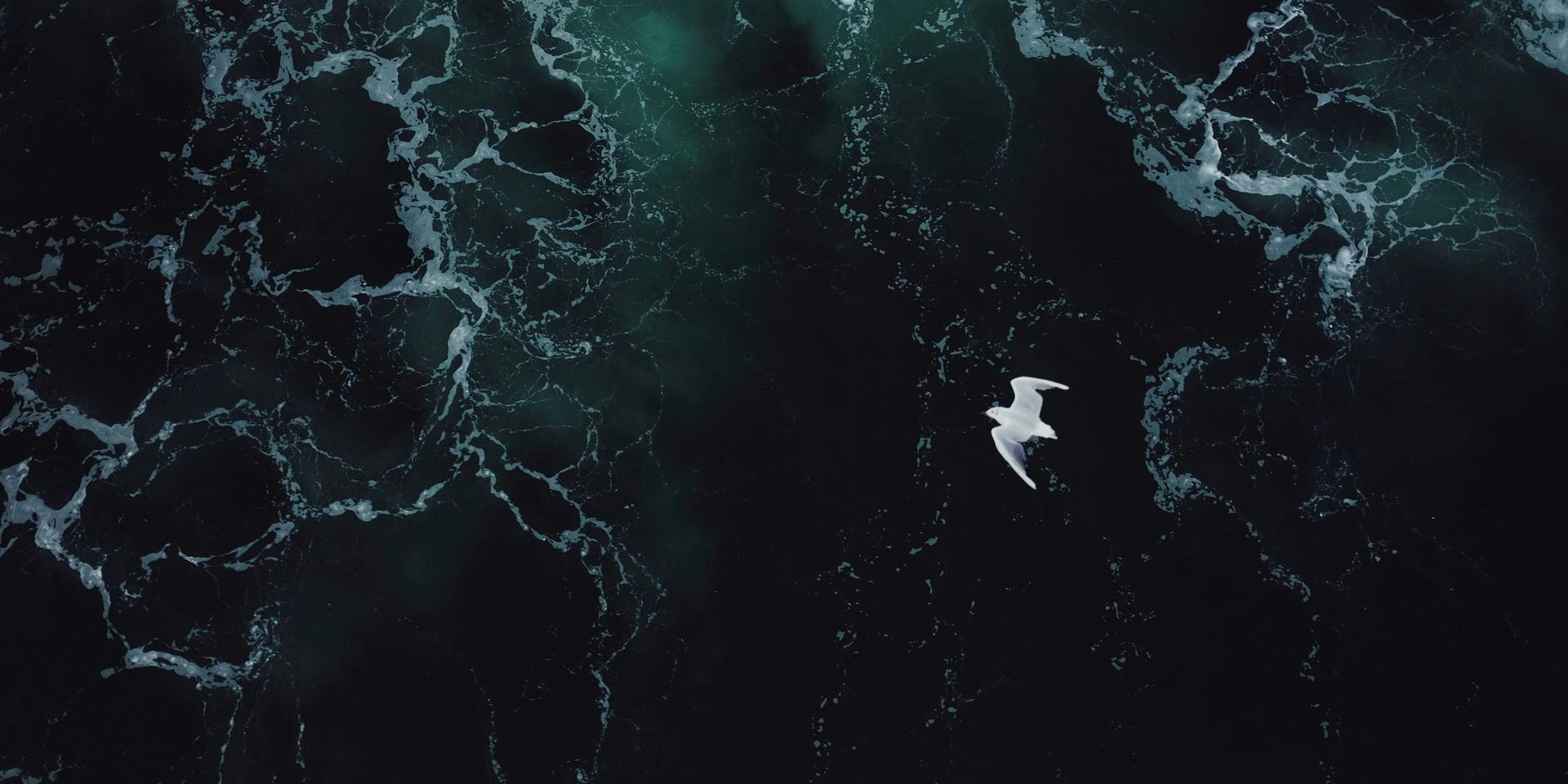 Cover Image for I AM FLOW