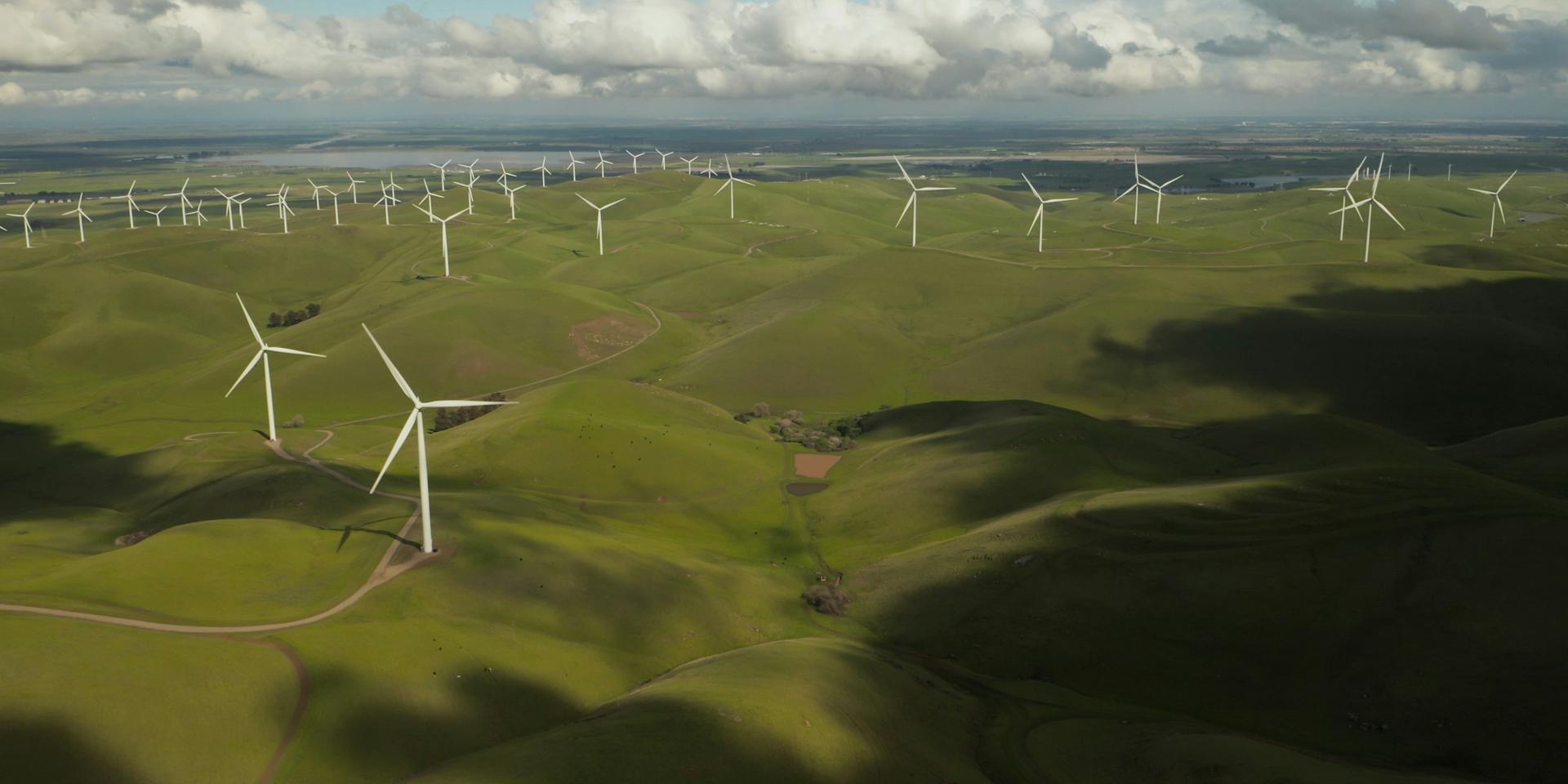 Cover Image for Climate Collective Dinner #1