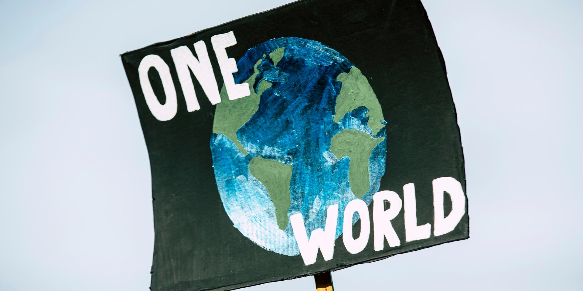 Cover Image for DEI-Climate Justice Monthly Meet-up