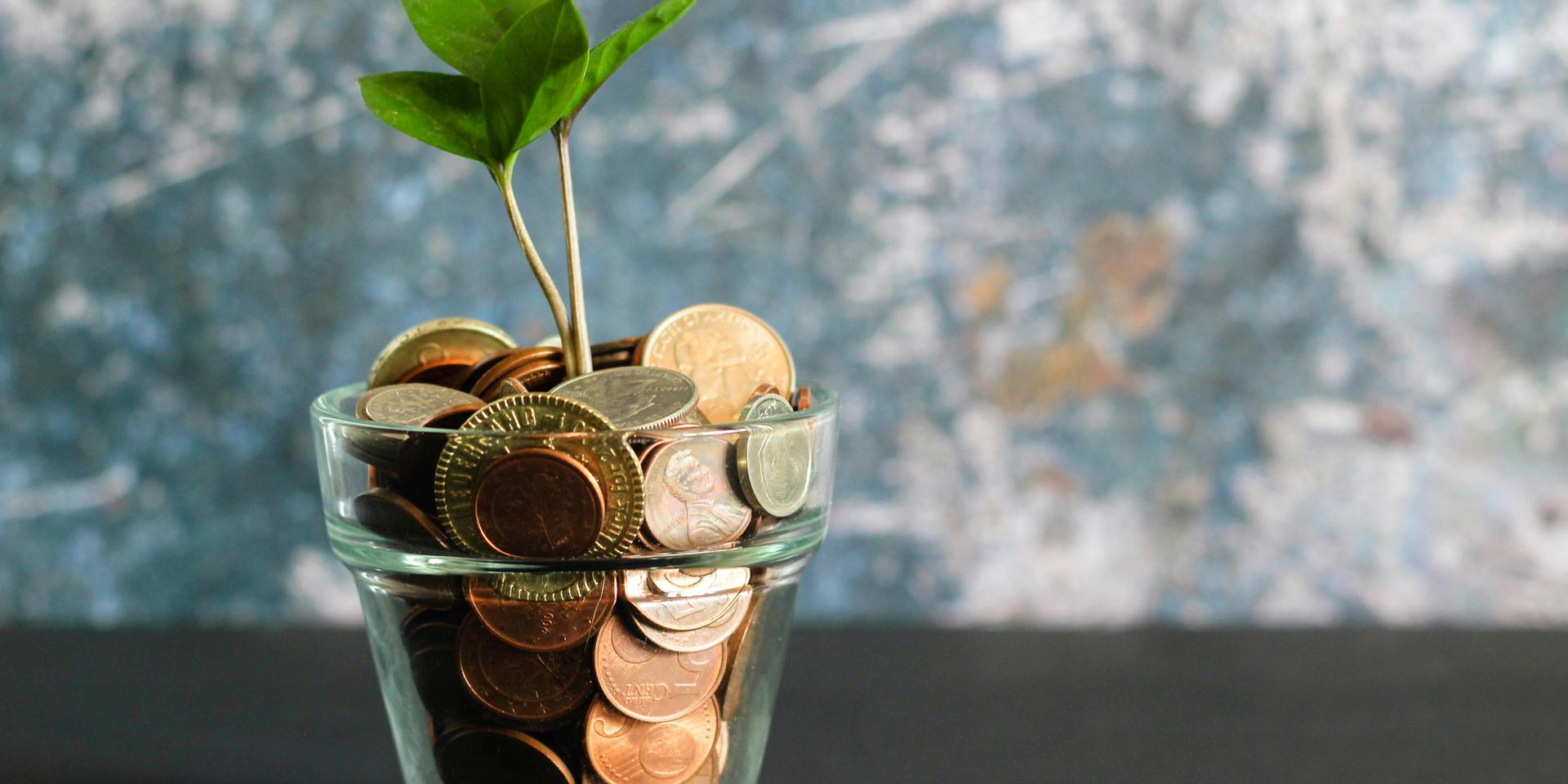 Cover Image for Make your money matter: how to invest in a clean & equitable future