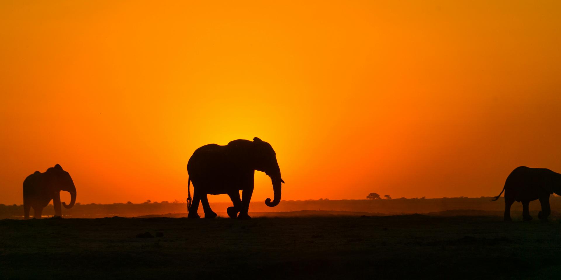 Cover Image for Postgres All the Way
