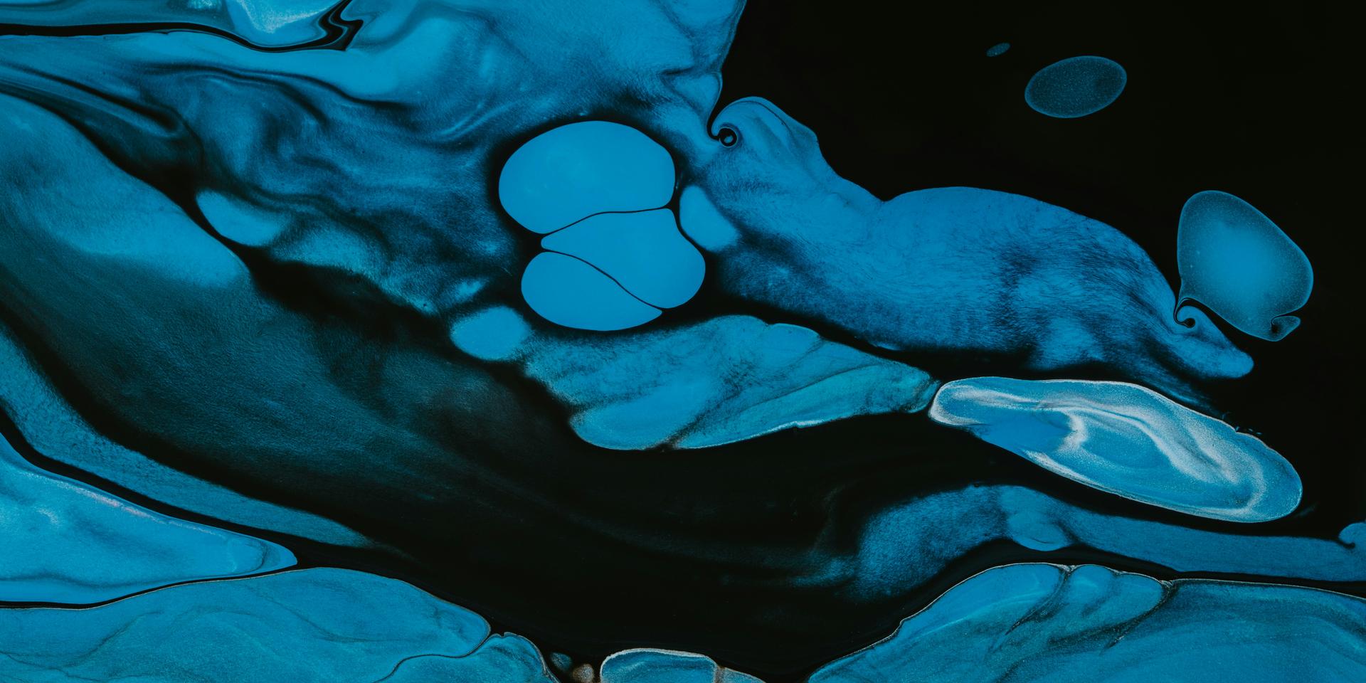 Cover Image for The marriage of design & philosophy