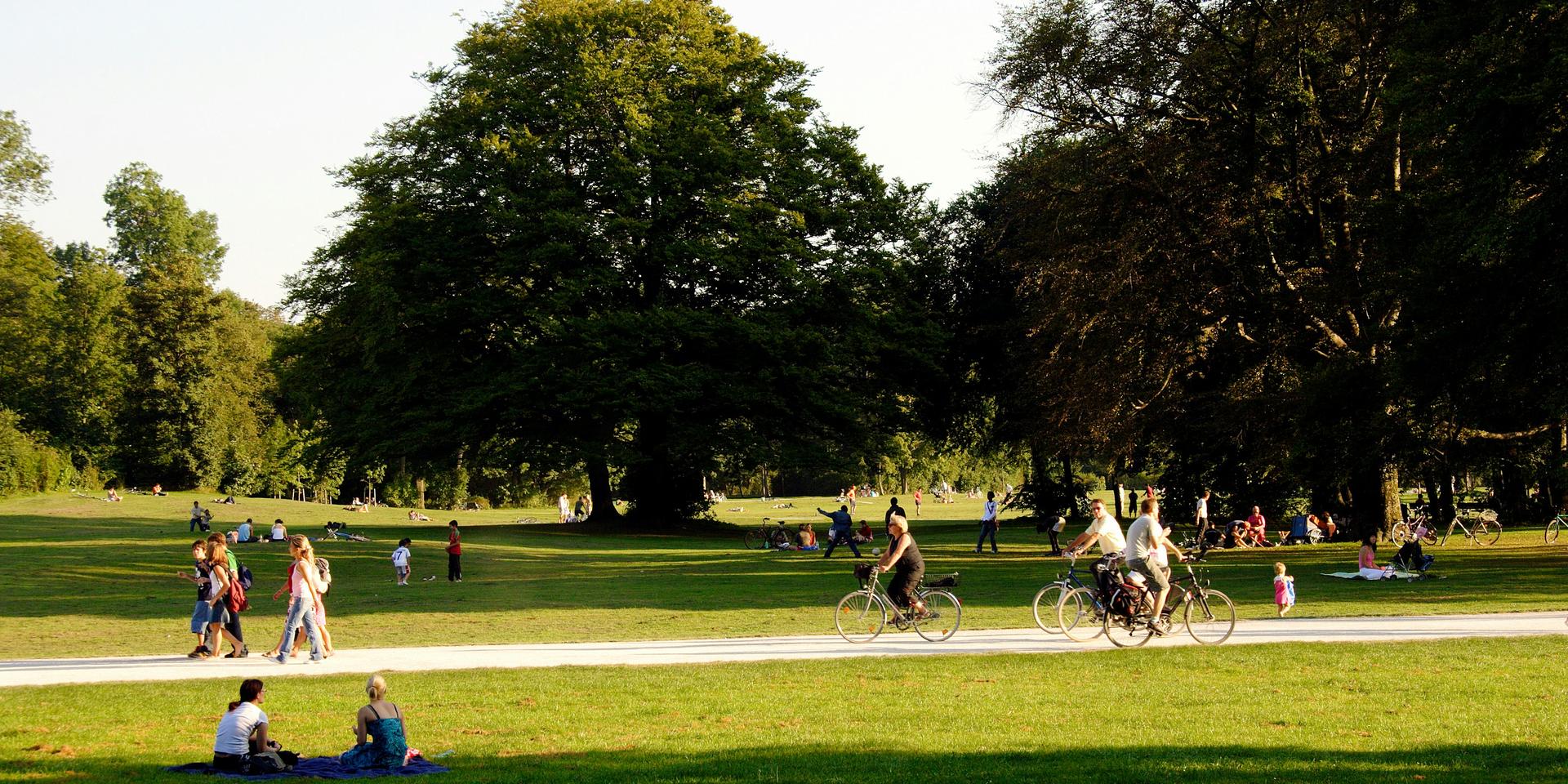 Cover Image for Climate Week Decompress (Park Hang)