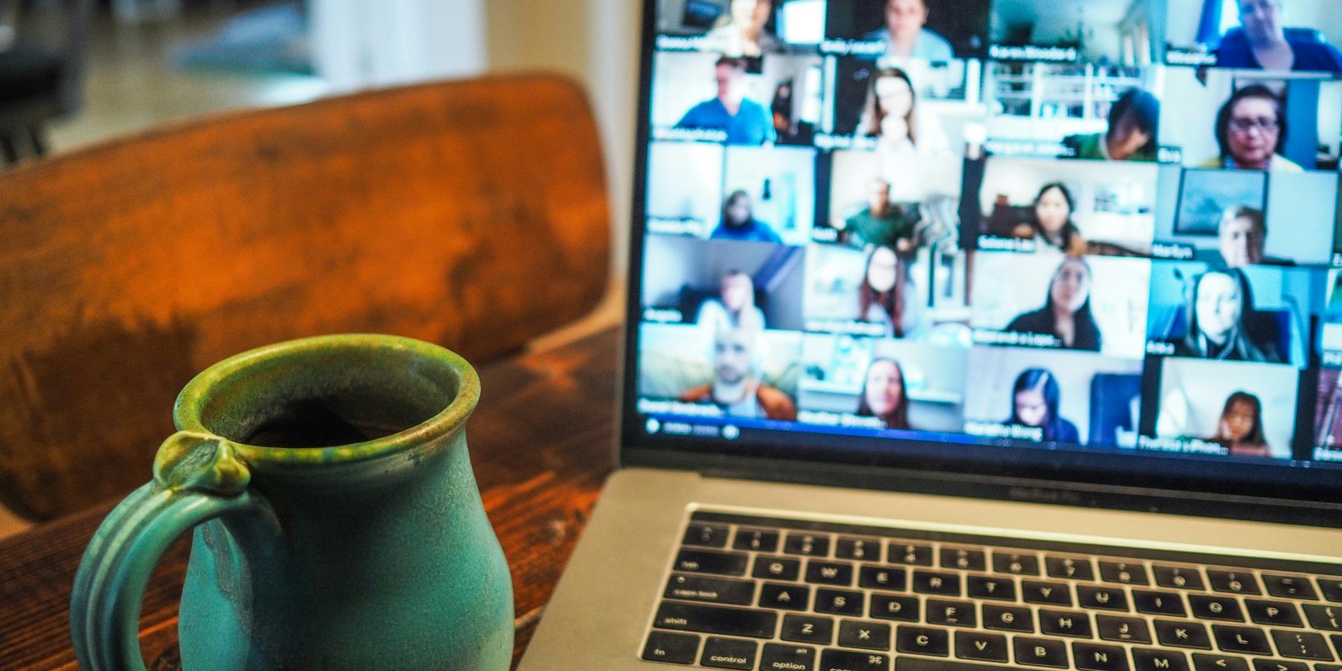 Cover Image for Live Office Hours - Invincible Career Premium Subscribers