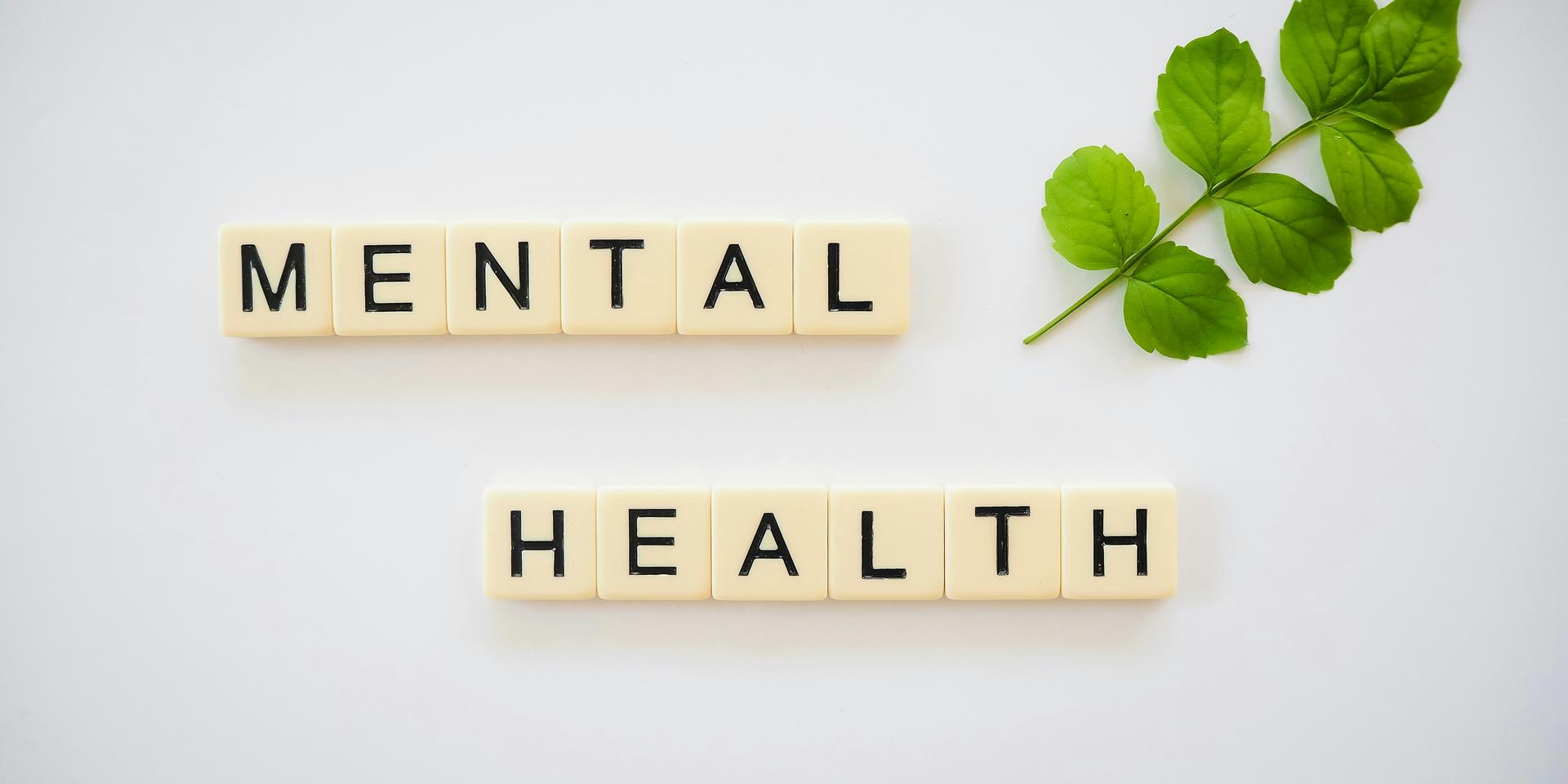 Cover Image for Intellect MHFA Live-Training