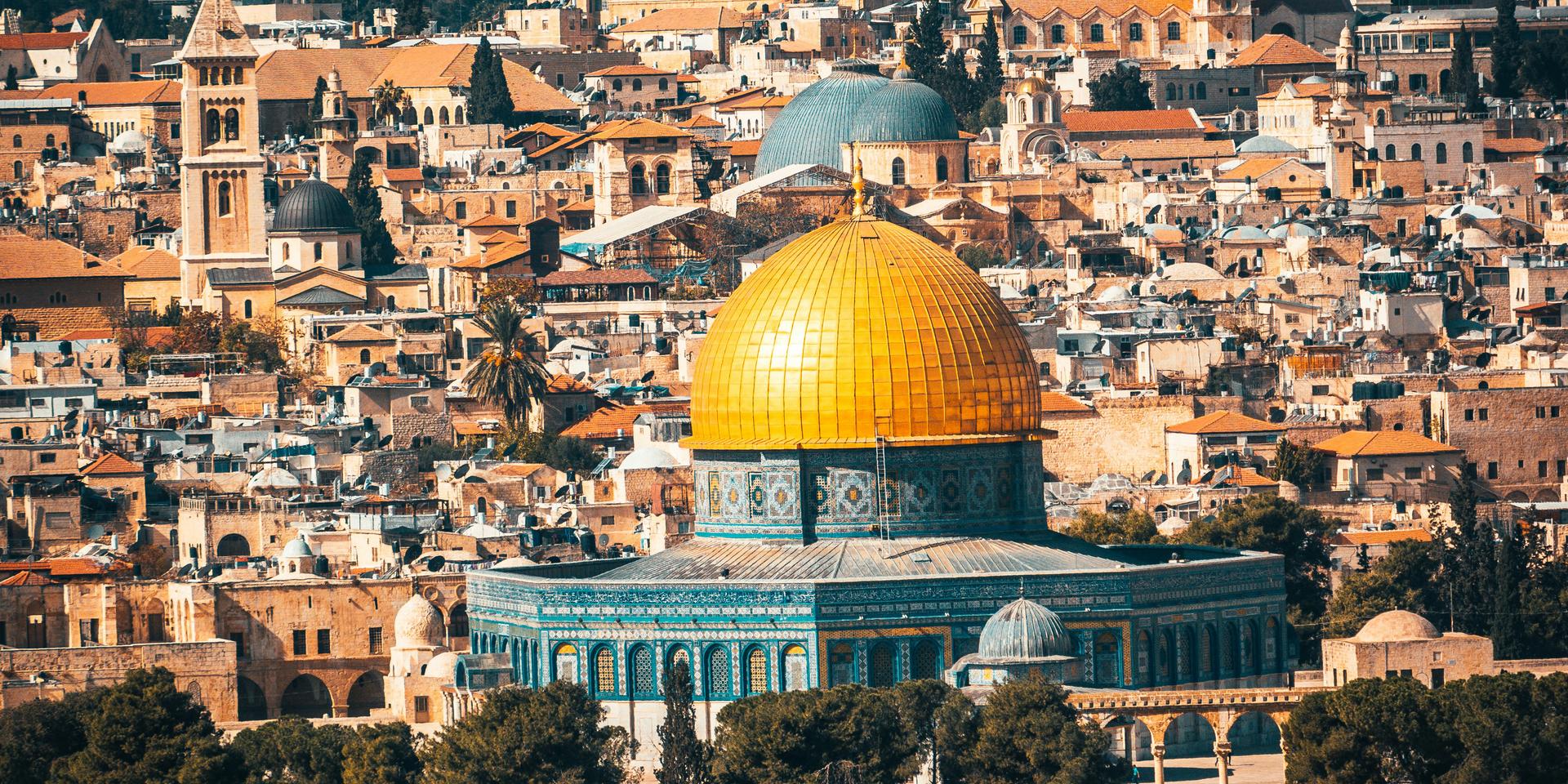 Cover Image for Israeli / Palestinian Conflict Fireside Chat with Adar Weinreb