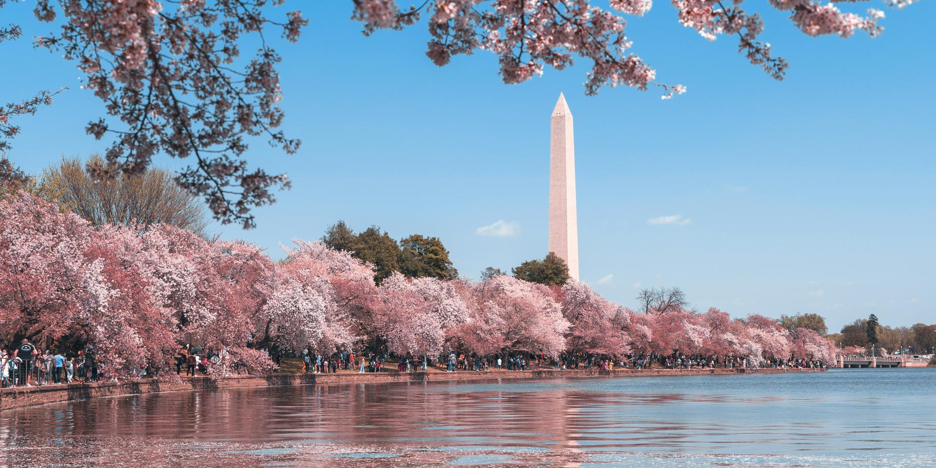Cover Image for StartupExperts - DC Chapter Meetup
