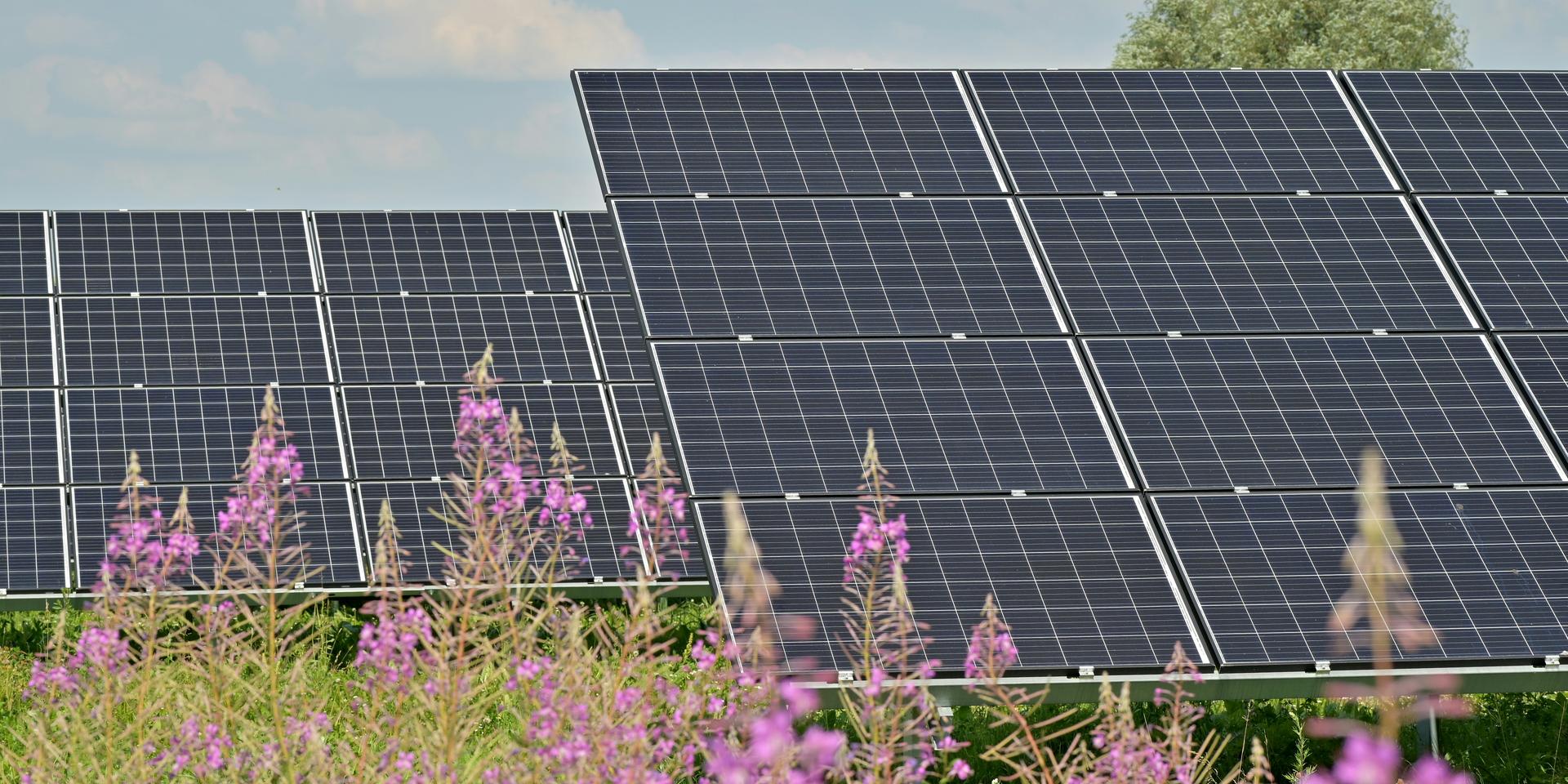 Cover Image for CCSD September Climate Work Social
