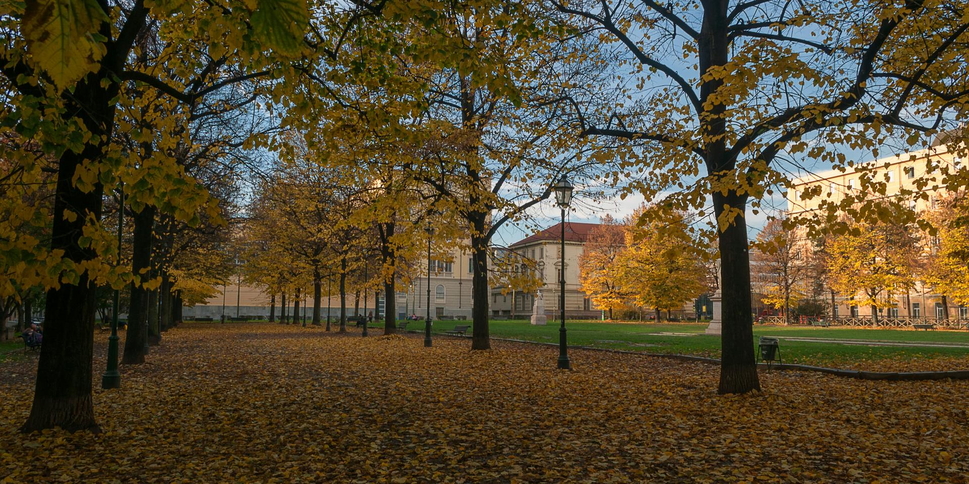 Cover Image for  🏛️ Fall Campus Kick-off | New Member Orientation + Community Potluck 🥘