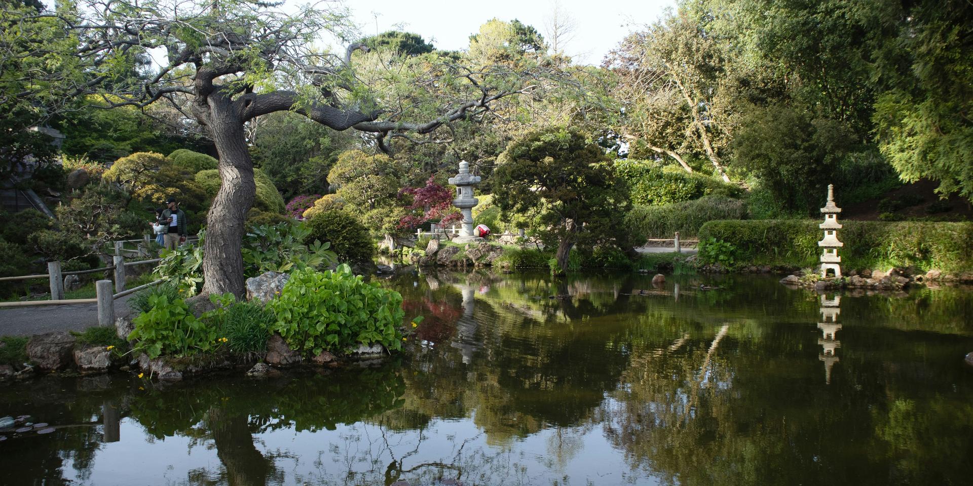 Cover Image for Tranquil Trees: Japanese Tea Garden Inspiration Outing