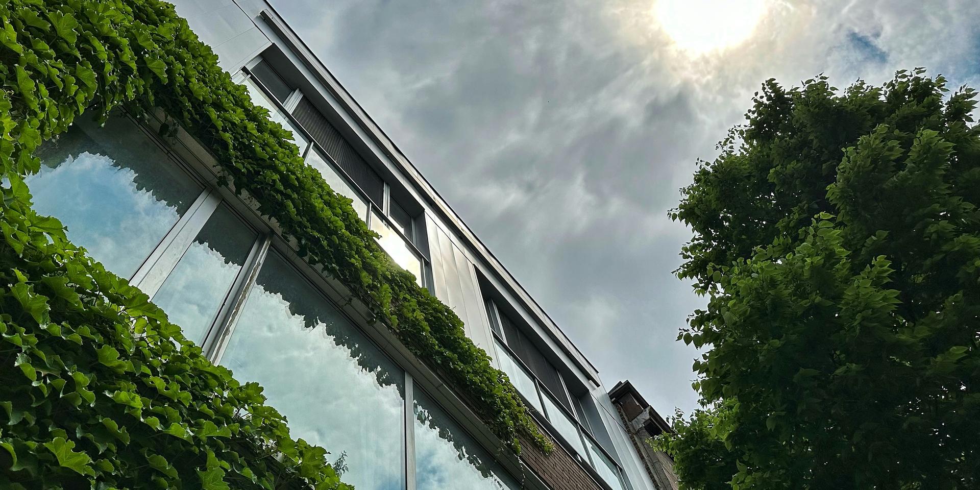 Cover Image for Urban Heat Islands Learning Session