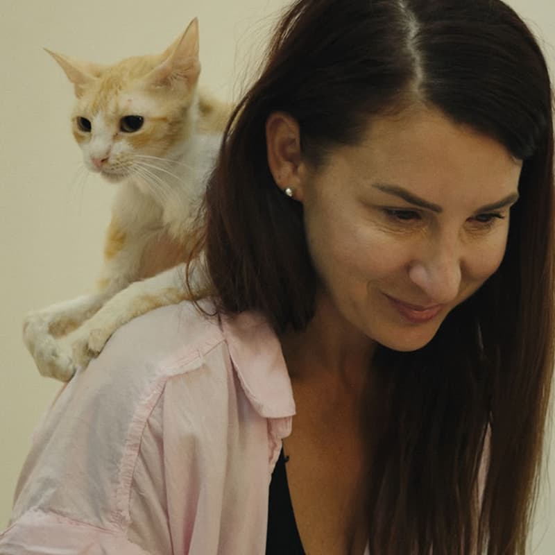 Cover Image for 猫たちと7000マイルの旅 / 25 Cats from Qatar