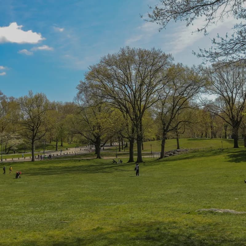 Cover Image for Fall Family Picnic in Central Park!