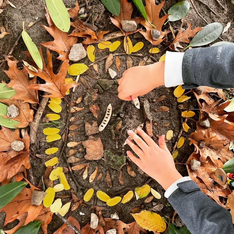 Cover Image for Ferienprogramm. Naturdetektive auf LIFE Campus